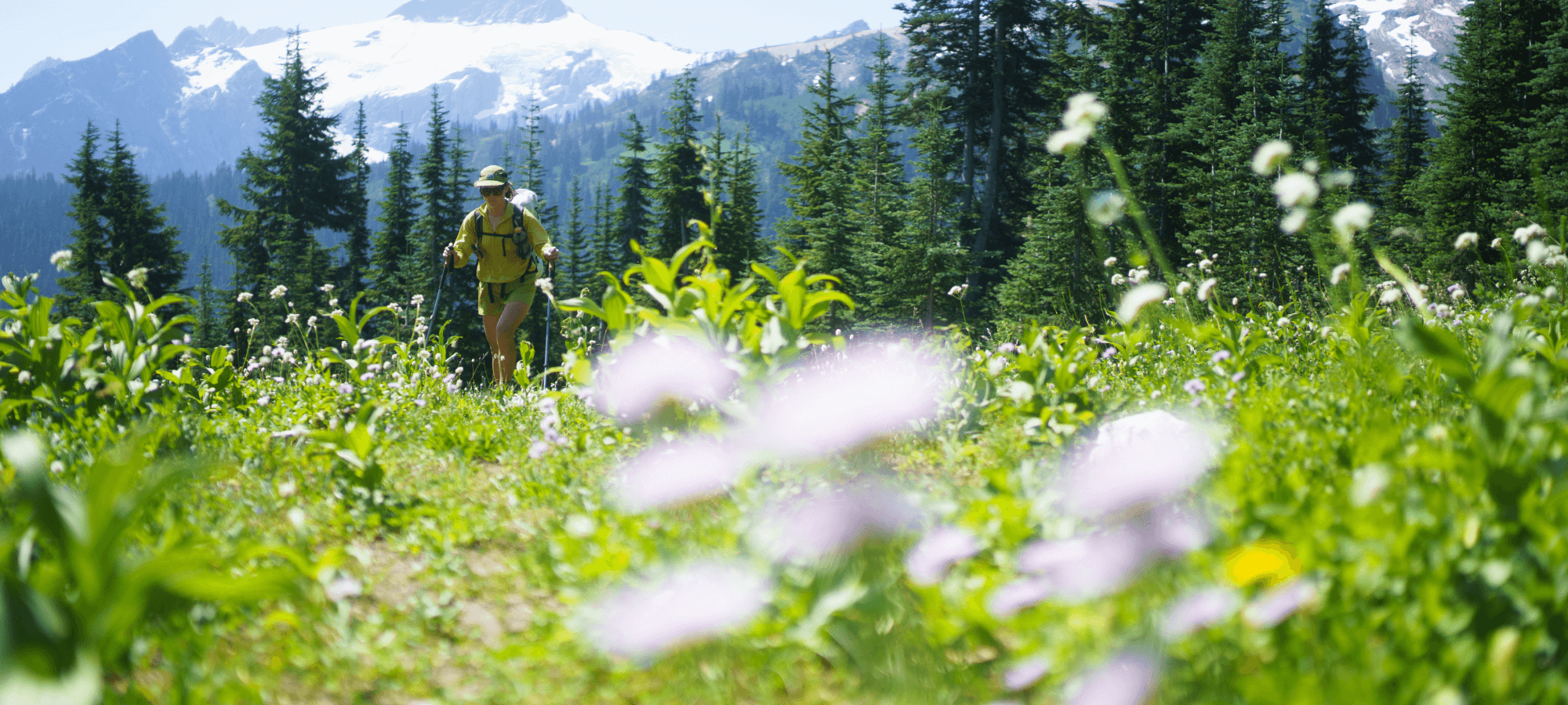 Tabla de información de despacho