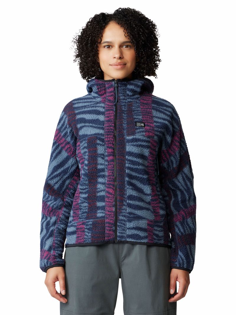 Polar Mujer Hicamp Azul Mountain Hardwear