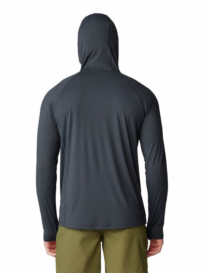 Polera Manga Larga Hombre Crater Lake Hoody Gris Mountain Hardwear