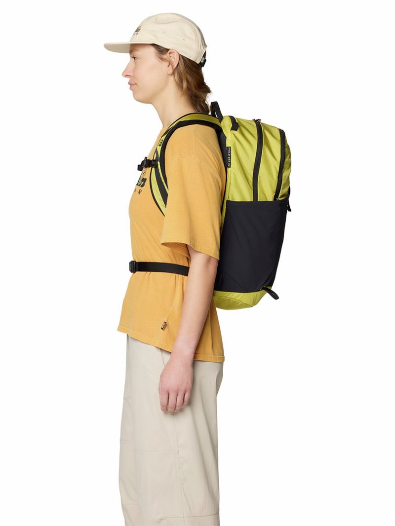 Mochila Unisex Field Day 22L Verde Mountain Hardwear