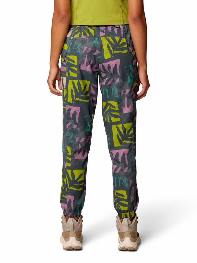 Pantalón Mujer Trail Sender Gris Mountain Hardwear