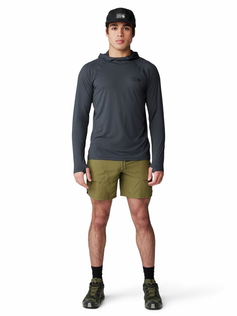 Polera Manga Larga Hombre Crater Lake Gris Mountain Hardwear