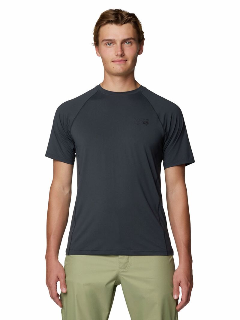 Polera Manga Corta Hombre Crater Lake Gris Mountain Hardwear